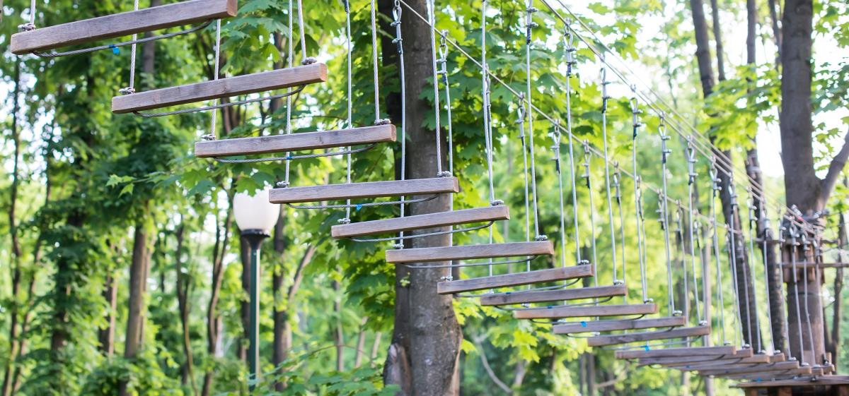 Treetop obstacle course